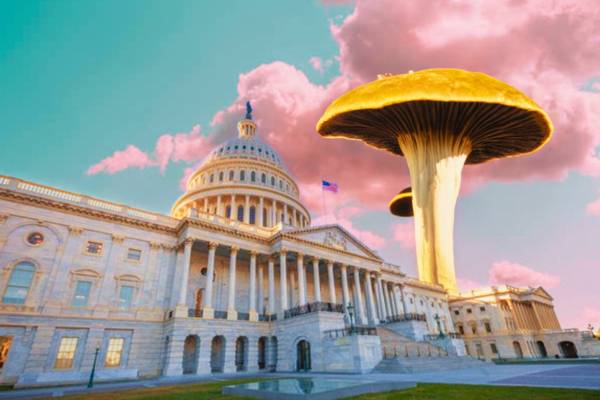 The Biggest Psychedelic News Stories of the Week – June 16