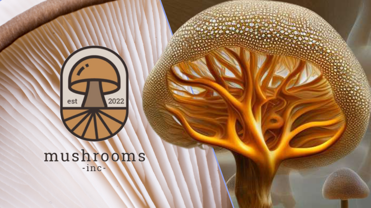 Using Mycelium for a Sustainable Future feat. Kimberly Carlson
