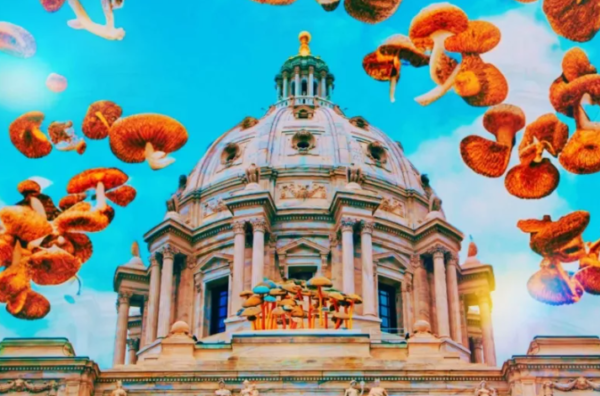 The Biggest Psychedelic News Stories of the Week – August 3rd