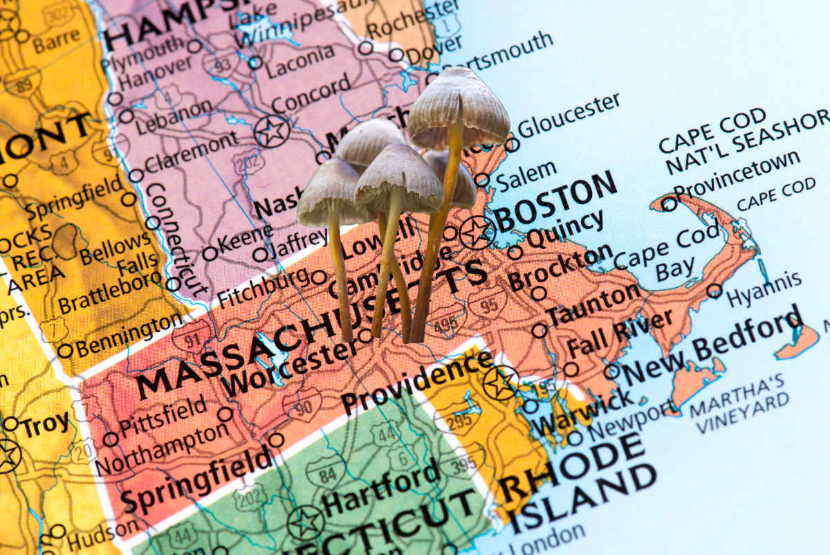 Massachusetts Governor Proposes Bill to Study Psychedelic Treatments for Vets, Advocates Call for Legalization